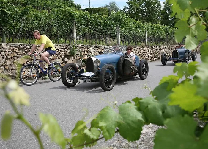 Hotel Boutique Ur-wachau 4*